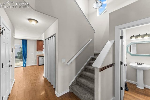 11508 Black Maple Lane, Colorado Springs, CO 80921