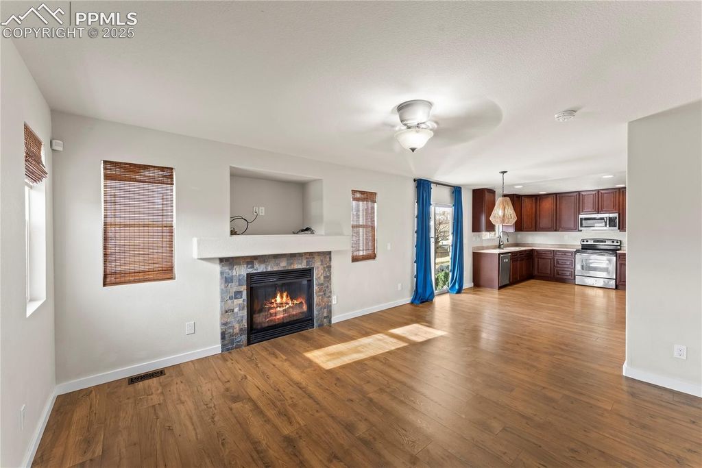 11508 Black Maple Lane, Colorado Springs, CO 80921 — exterior