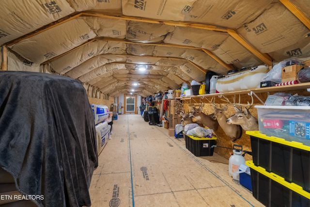 307 Idlewild Drive, White Pine, TN 37890