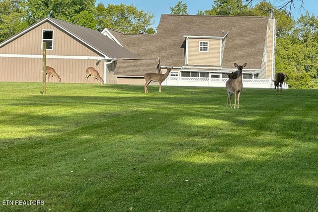 307 Idlewild Drive, White Pine, TN 37890