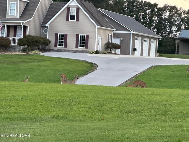 307 Idlewild Drive, White Pine, TN 37890