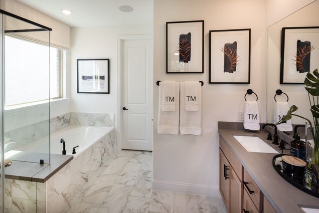 550 Wisteria Street, Oak Point, TX 75068