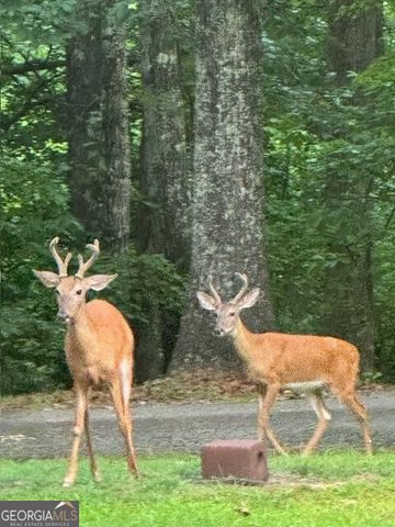 4840 CHAPEL HILL Road, Douglasville, GA 30135