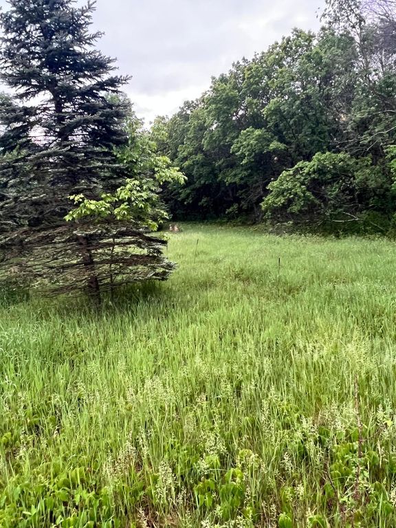 TBD 174th Street NW, Orrock Twp, MN 55309