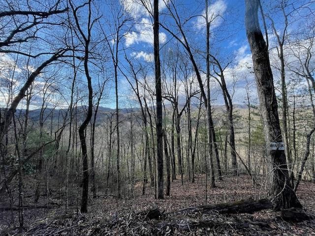 Lt 75E&F Turkey Walk Drive, Marble, NC 28905