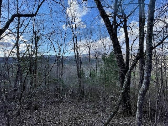 Lt 75E&F Turkey Walk Drive, Marble, NC 28905