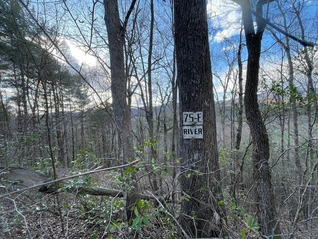 Lt 75E&F Turkey Walk Drive, Marble, NC 28905