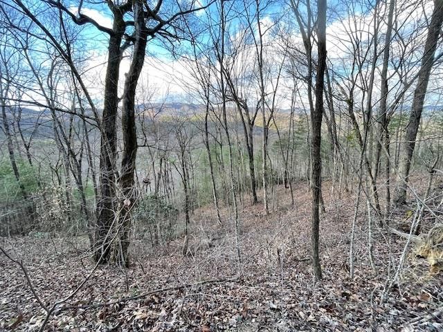 Lt 75E&F Turkey Walk Drive, Marble, NC 28905