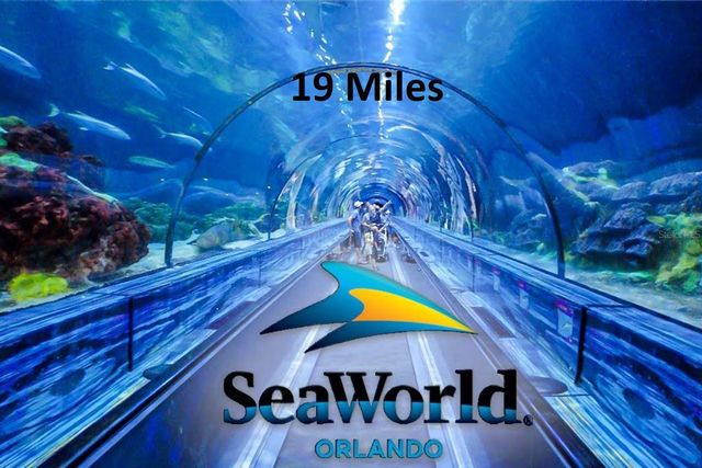 904 KNOLLWOOD DRIVE, Davenport, FL 33837