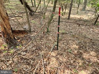 6.47 ACRES BURD LANE, Augusta, WV 26704