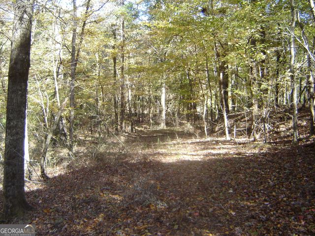 3211 Lee Road 375, Valley, AL 36854