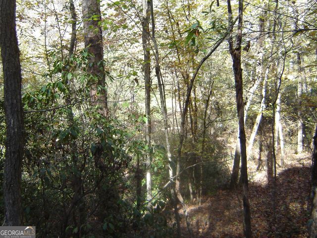 3211 Lee Road 375, Valley, AL 36854