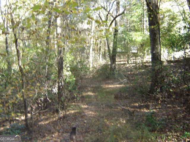 3211 Lee Road 375, Valley, AL 36854