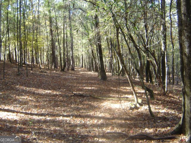 3211 Lee Road 375, Valley, AL 36854