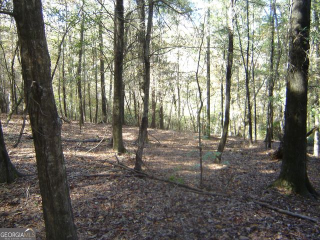 3211 Lee Road 375, Valley, AL 36854