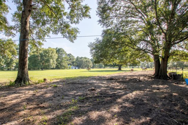 TBD N North Fm 1486 Road, Montgomery, TX 77356