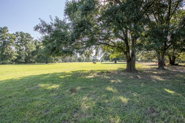 TBD N North Fm 1486 Road, Montgomery, TX 77356