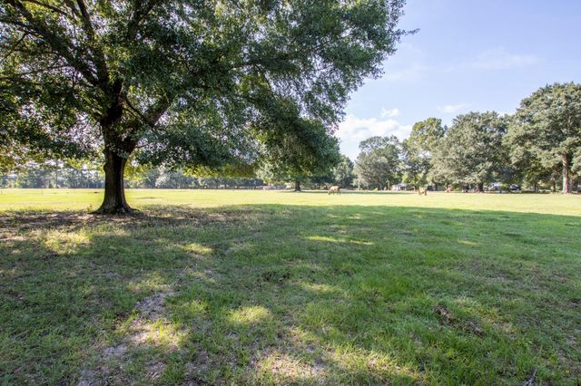 TBD N North Fm 1486 Road, Montgomery, TX 77356