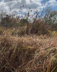 1558 Burney Street SW, Palm Bay, FL 32908