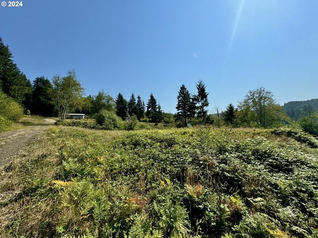 71399 Heavy Horse Rd, Lakeside, OR 97449