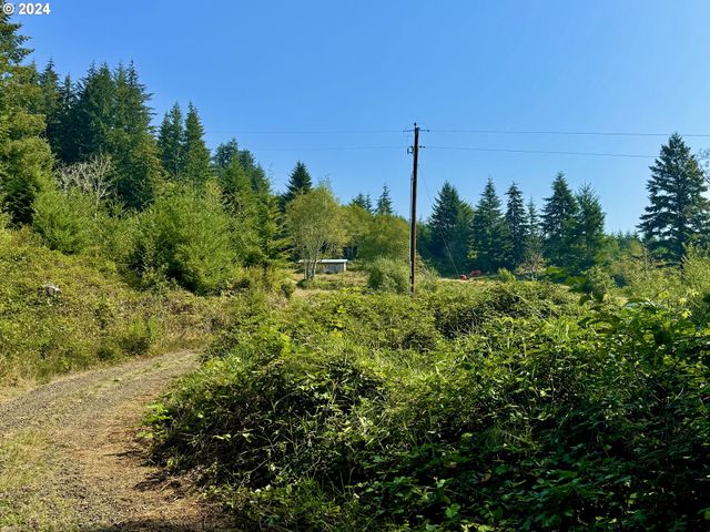 71399 Heavy Horse Rd, Lakeside, OR 97449