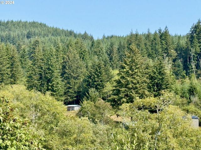 71399 Heavy Horse Rd, Lakeside, OR 97449
