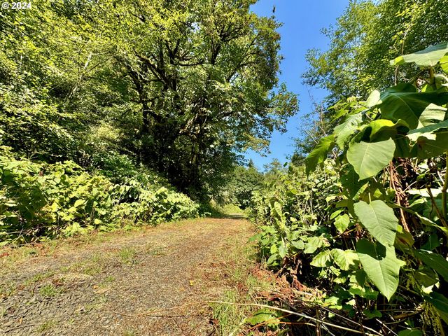 71399 Heavy Horse Rd, Lakeside, OR 97449