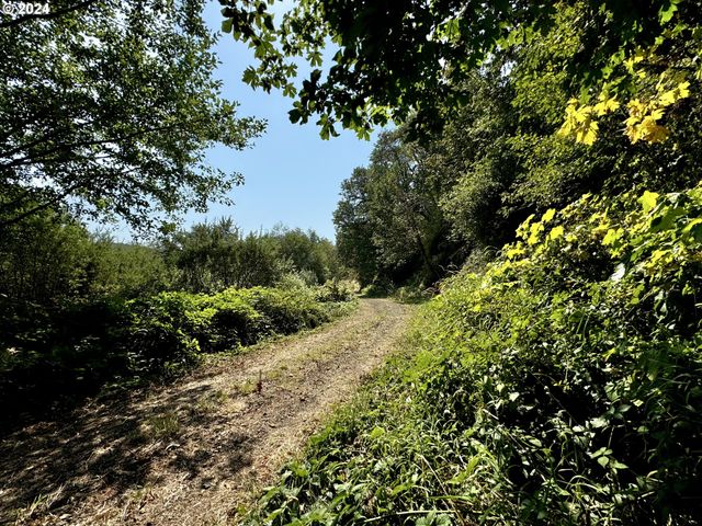 71399 Heavy Horse Rd, Lakeside, OR 97449