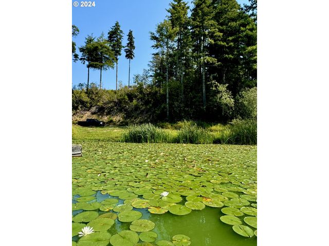 71399 Heavy Horse Rd, Lakeside, OR 97449