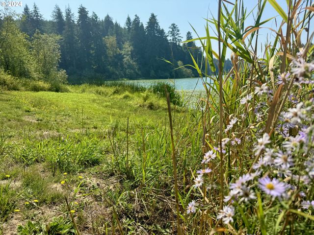 71399 Heavy Horse Rd, Lakeside, OR 97449