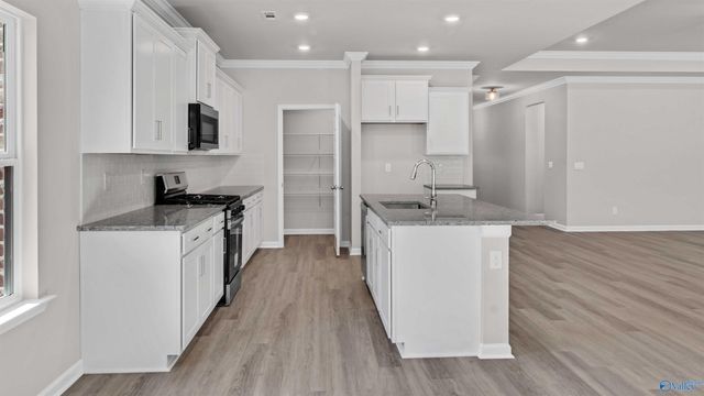 17638 Sapphire Lane, Athens, AL 35749