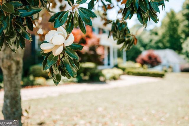 3 Honeysuckle Lane, Colbert, GA 30628