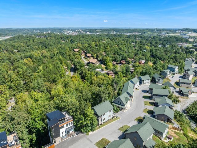 851 Osprey Way, Pigeon Forge, TN 37863