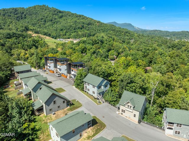 851 Osprey Way, Pigeon Forge, TN 37863