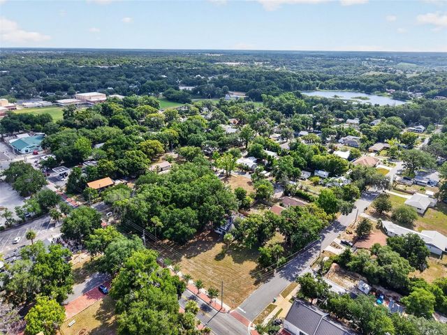 316 N HIGHLAND STREET, Mount Dora, FL 32757