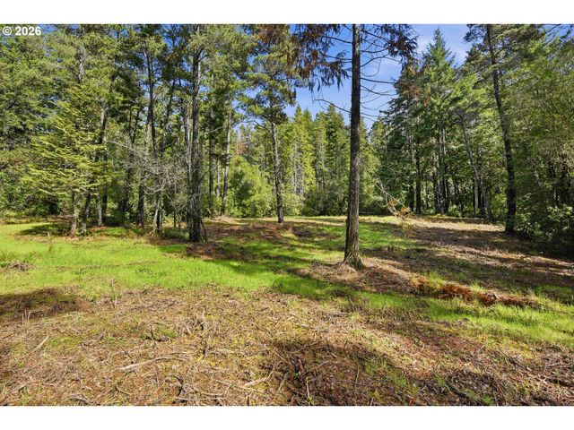 0 Morrison Rd_Barnaby 403, Bandon, OR 97411