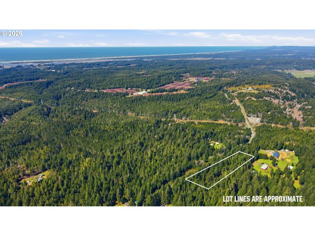 0 Morrison Rd_Barnaby 403, Bandon, OR 97411