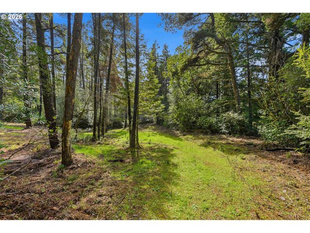 0 Morrison Rd_Barnaby 403, Bandon, OR 97411