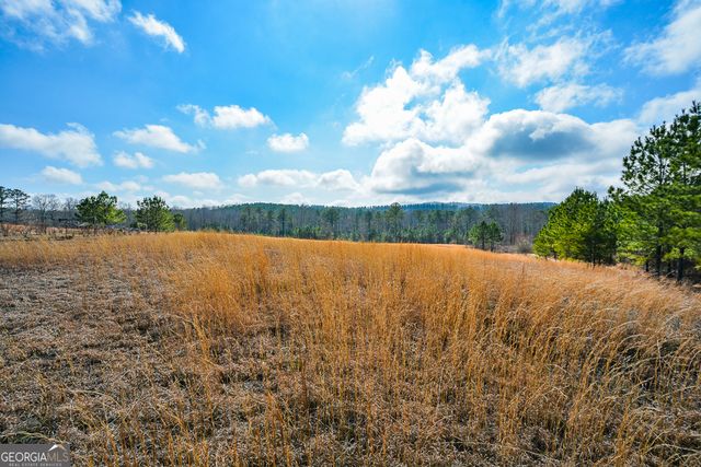 119 Inland 5 acres Drive 5 ACRES, Talking Rock, GA 30175