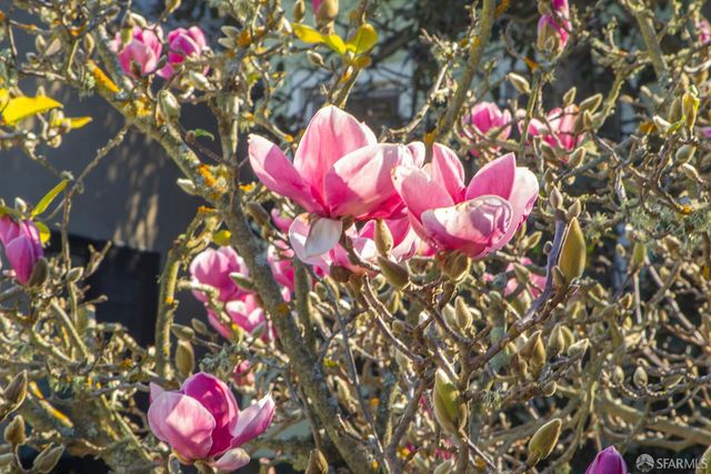 327 Caselli Avenue, San Francisco, CA 94114