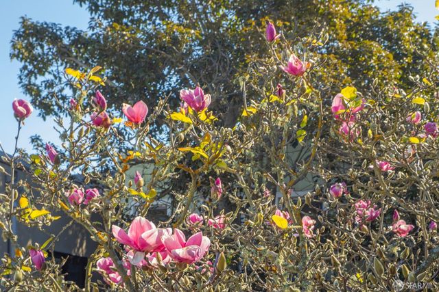 327 Caselli Avenue, San Francisco, CA 94114