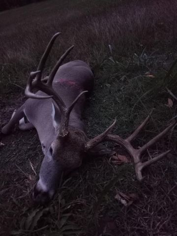 00 Fm 390 N, Brenham, TX 77833