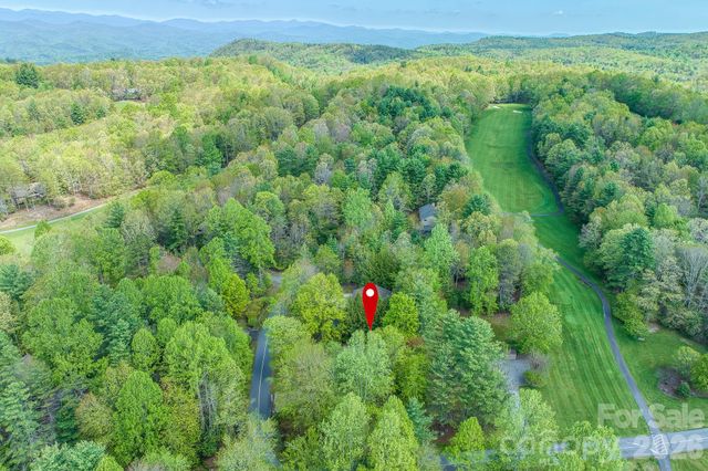 22 Dalonigei Court, Brevard, NC 28712