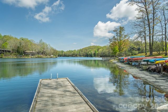 22 Dalonigei Court, Brevard, NC 28712
