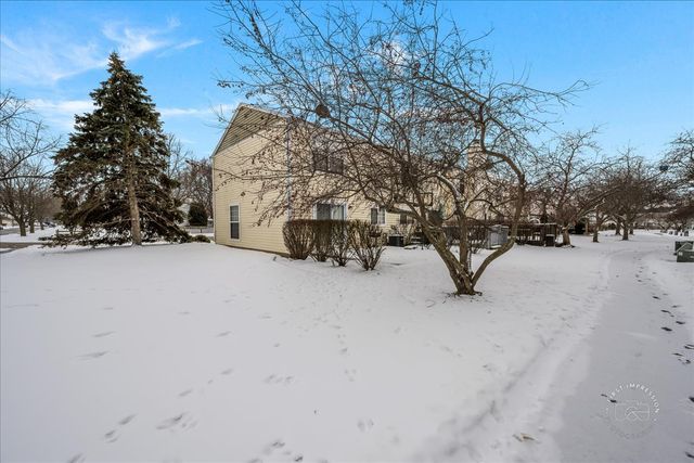 1780 College Green Drive, Elgin, IL 60123