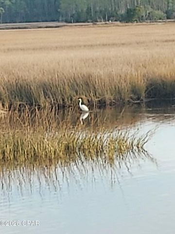 8402 Deepwater Creek Lane, Panama City Beach, FL 32413