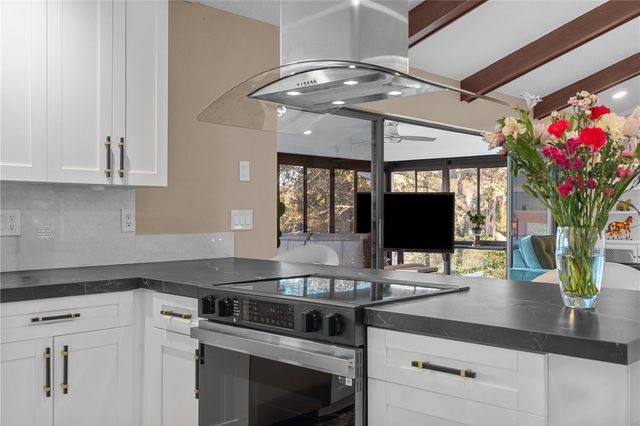 3105 S LAKESHORE COURT, Eustis, FL 32726