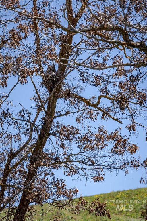 277 acres Timber Butte Rd, Sweet, ID 83670 photo 15