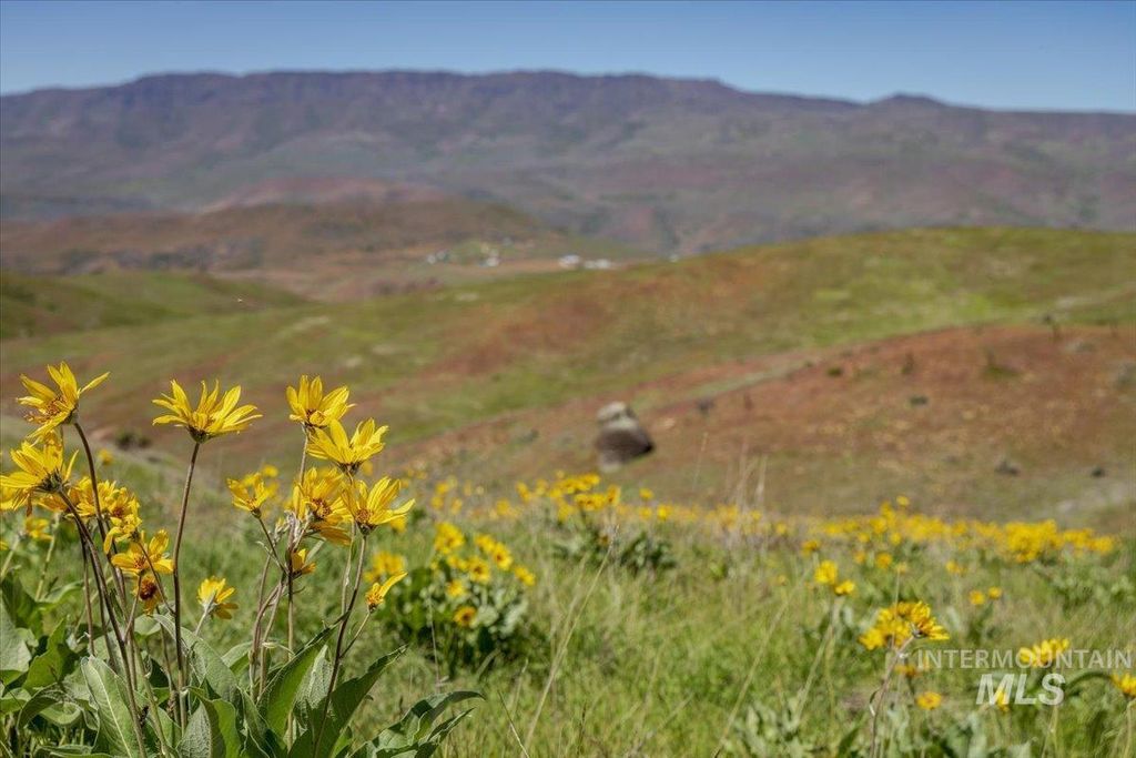 277 acres Timber Butte Rd, Sweet, ID 83670 photo 31