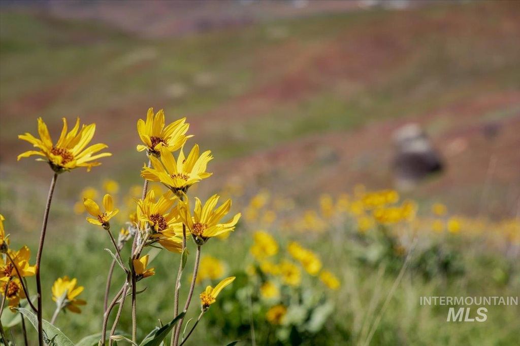 277 acres Timber Butte Rd, Sweet, ID 83670 photo 32